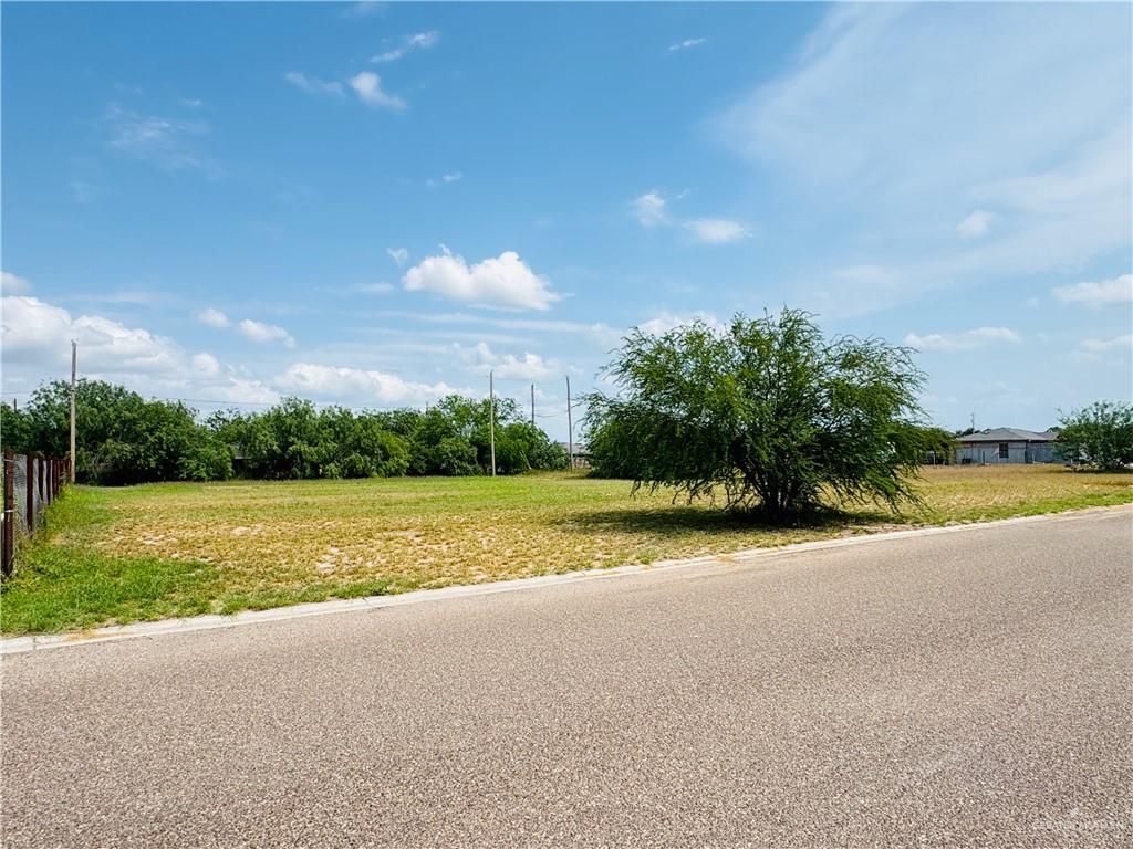 418 Hawk Street, Sullivan City, TX 78595