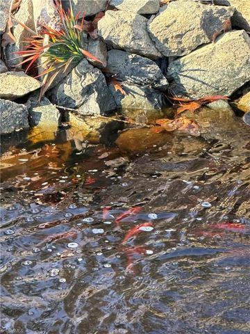 1126 Briggstown Road, Lexington, NC 27292