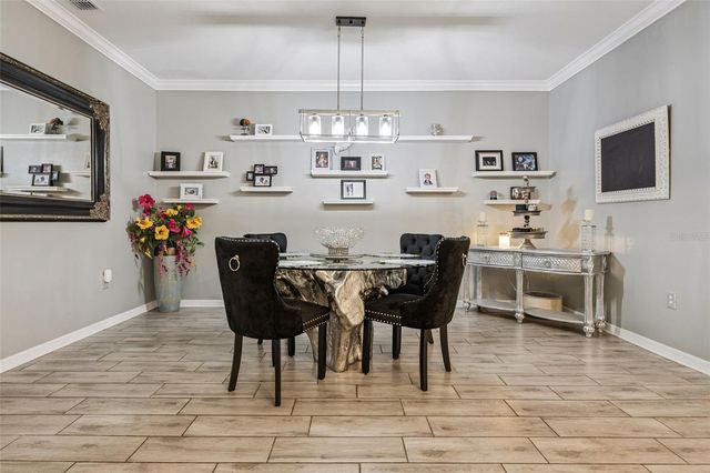 5125 TANZANITE DRIVE, Mount Dora, FL 32757