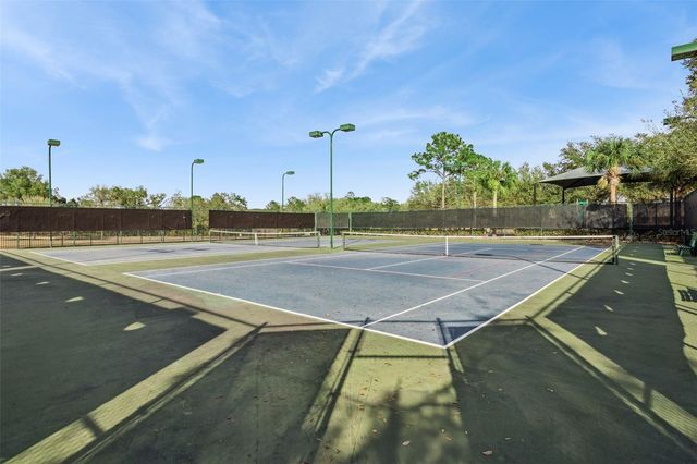 5125 TANZANITE DRIVE, Mount Dora, FL 32757