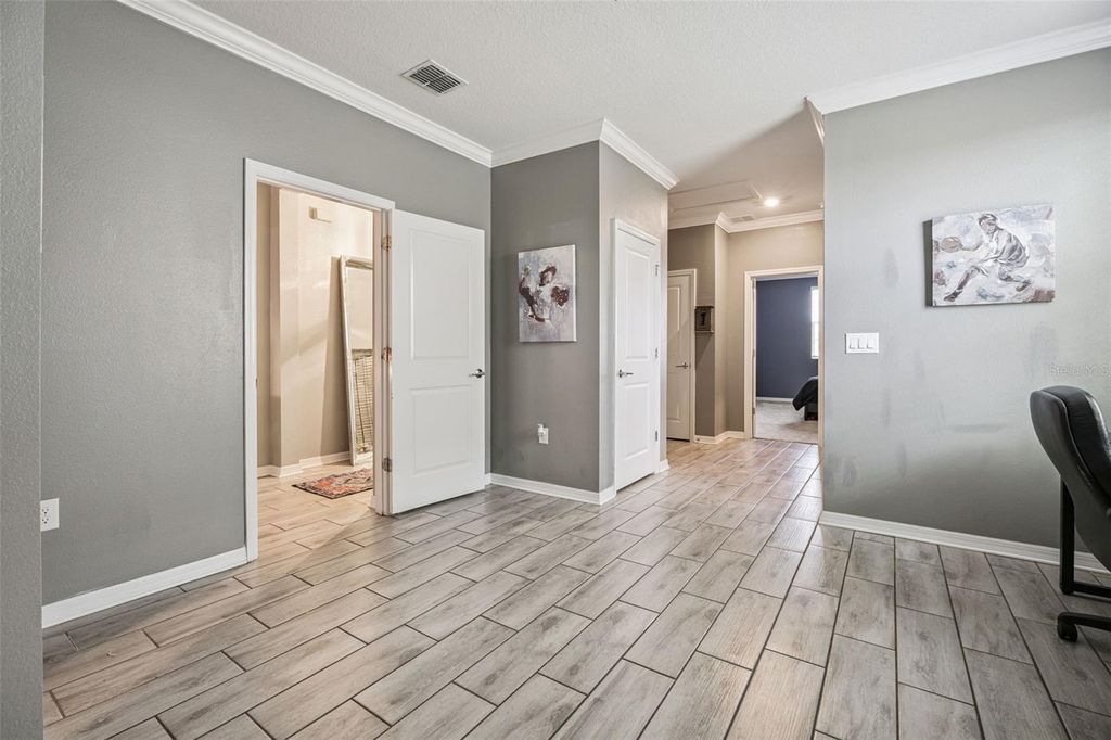 Image 21 of property listing at 5125 TANZANITE DRIVE, Mount Dora, FL 32757