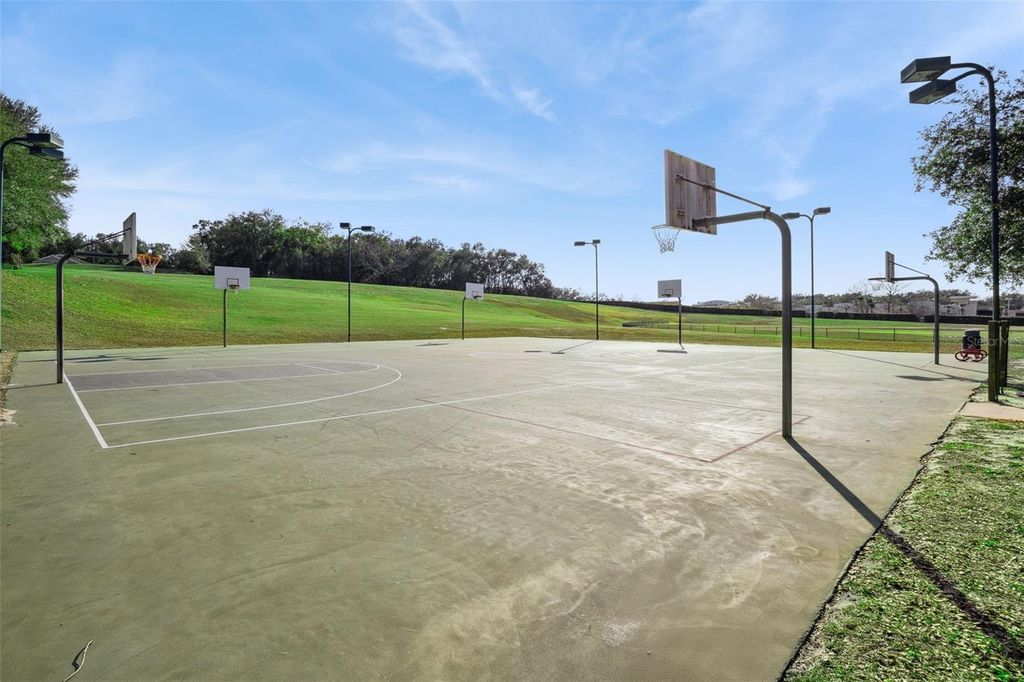 Image 40 of property listing at 5125 TANZANITE DRIVE, Mount Dora, FL 32757