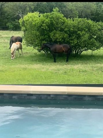 814 The Trails PKWY, Horseshoe Bay, TX 78657