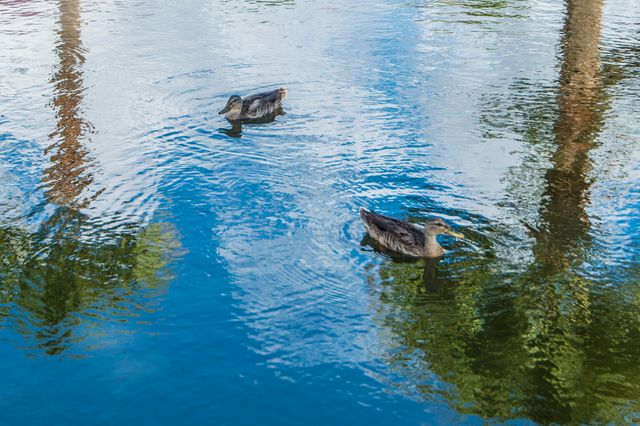 152 W Mariners Cay Drive 152, Folly Beach, SC 29439