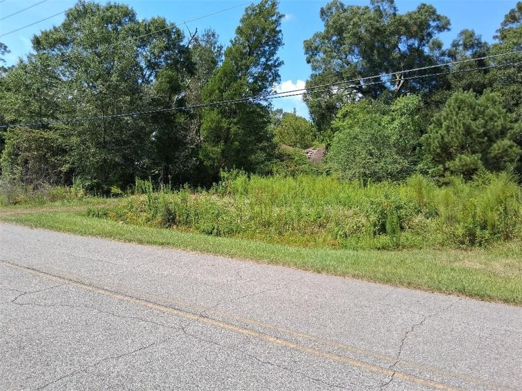0 Highway 43, Mount Vernon, AL 36560 — photo 2