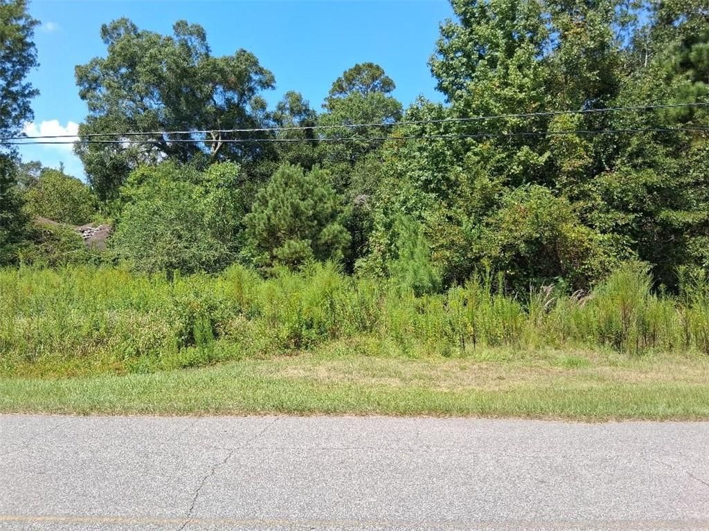 0 Highway 43, Mount Vernon, AL 36560 — photo 3