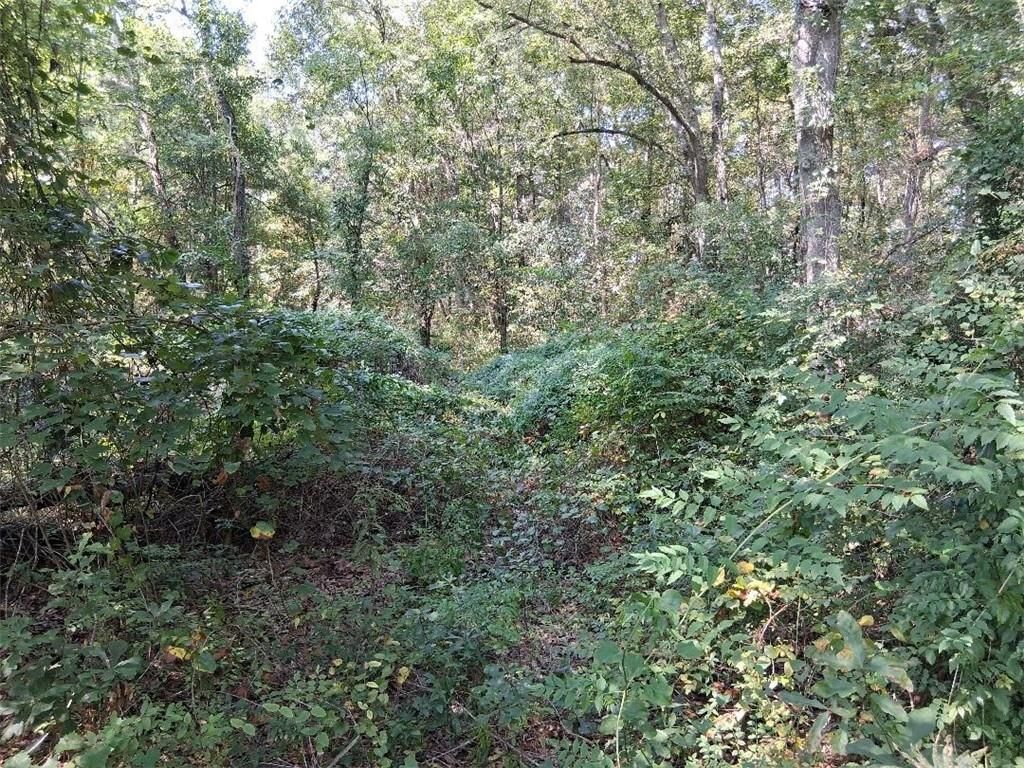 0 Highway 43, Mount Vernon, AL 36560 — photo 5