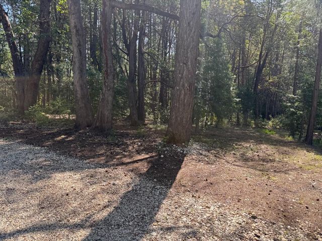 13071 Moonshine Rd, Camptonville, CA 95922