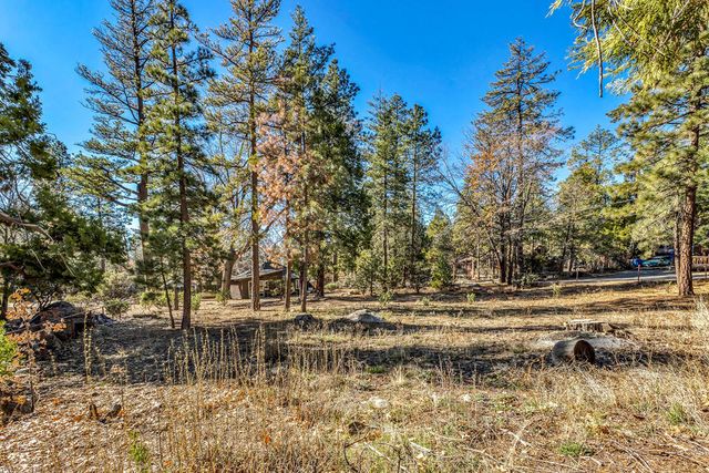 25740 Fir Street, Idyllwild, CA 92549