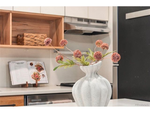 1270 N Marion St 207, Denver, CO 80218