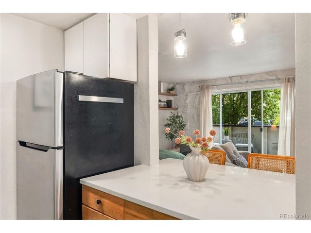 1270 N Marion St 207, Denver, CO 80218