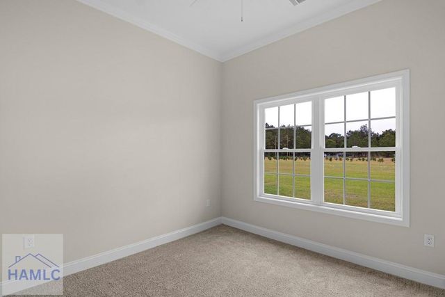 769 S. T. Morris Road, Ludowici, GA 31316