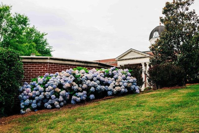3730 Ivy Cottage Drive, Snellville, GA 30039