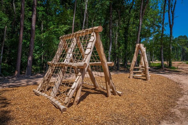 22131 Prater Ridge Lane, Porter, TX 77365