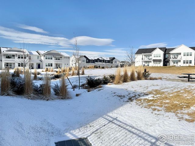 1804 Iron Wheel Drive, Windsor, CO 80550