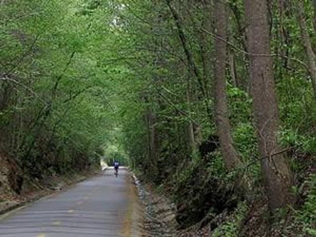 4349 Kousa Road 4, Austell, GA 30106