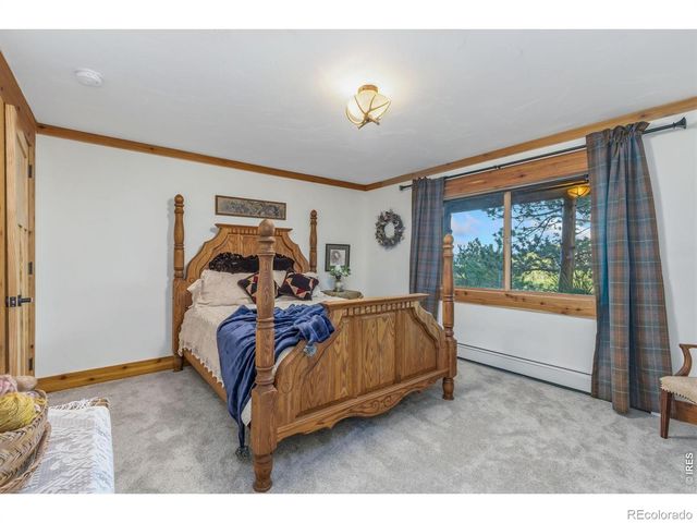 3967 N County Road 73c, Red Feather Lakes, CO 80545