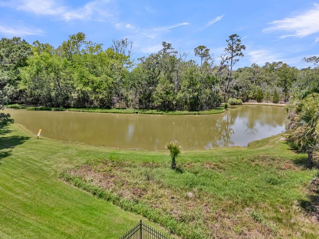 1105 Barfield Street, Daniel Island, SC 29492