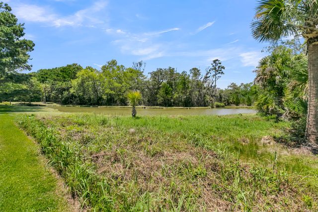 1105 Barfield Street, Daniel Island, SC 29492