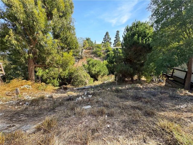 1721 W Santa Cruz, San Pedro, CA 90732