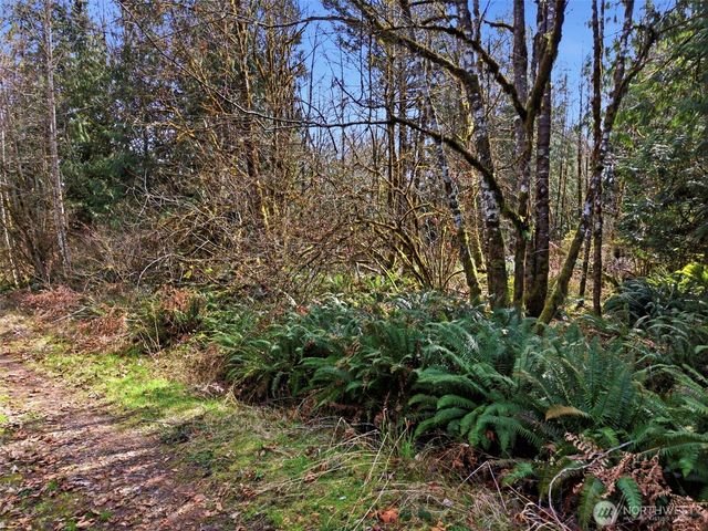 0 XXX S Prairie Road, Napavine, WA 98532