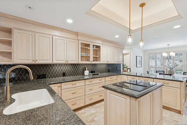 11607 Elm Ridge Rd, San Antonio, TX 78230