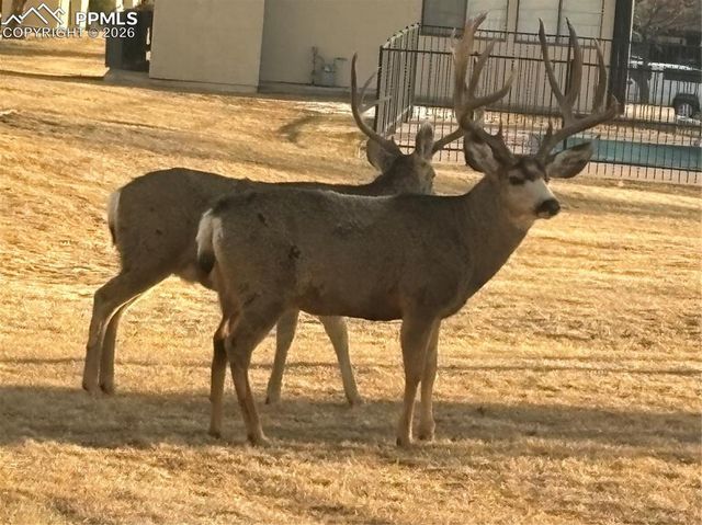 1098 Fontmore Road B, Colorado Springs, CO 80904