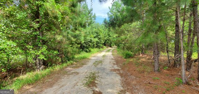 38 W Highway 46, Lyons, GA 30436