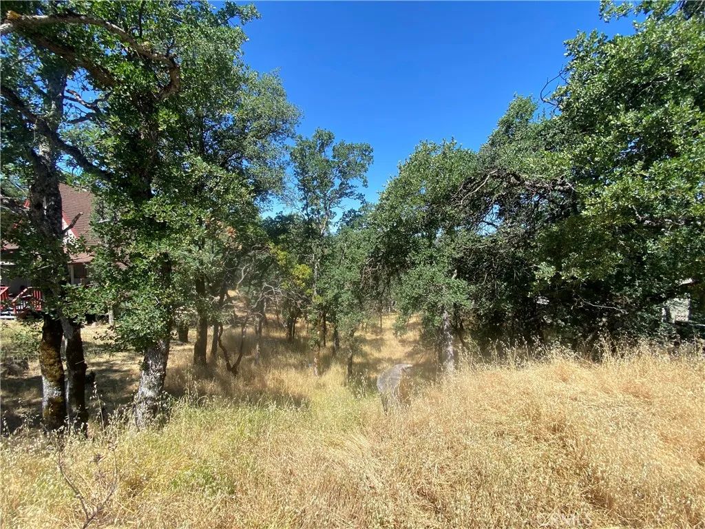 17487 Meadow View, Hidden Valley Lake, CA 95467