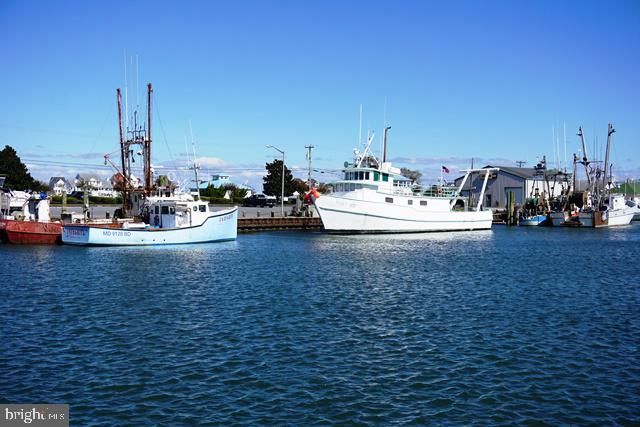 224 FLOUNDER LN, Ocean City, MD 21842