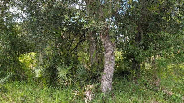 3241 DOUGLAS ROAD, Port Charlotte, FL 33980