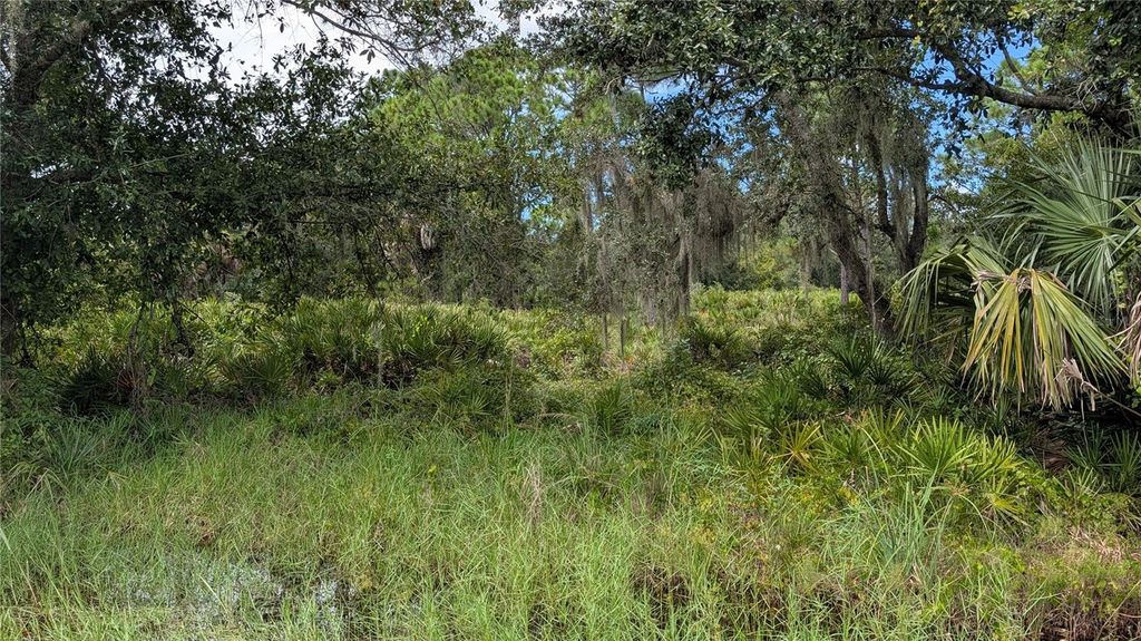 3241 DOUGLAS ROAD, Port Charlotte, FL 33980