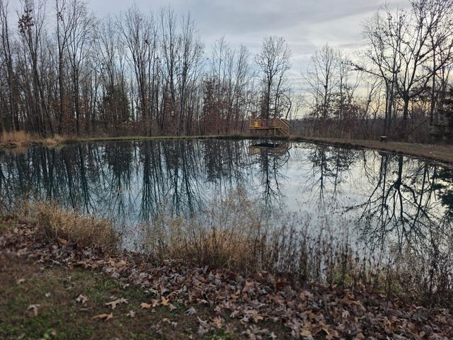 3759 Skyline Road, Seymour, MO 65746