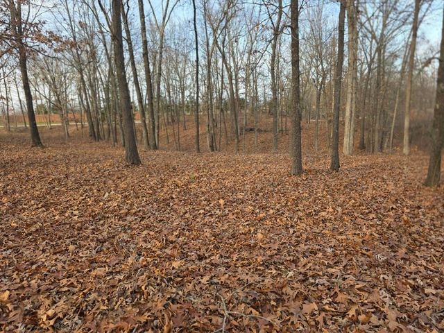 3759 Skyline Road, Seymour, MO 65746