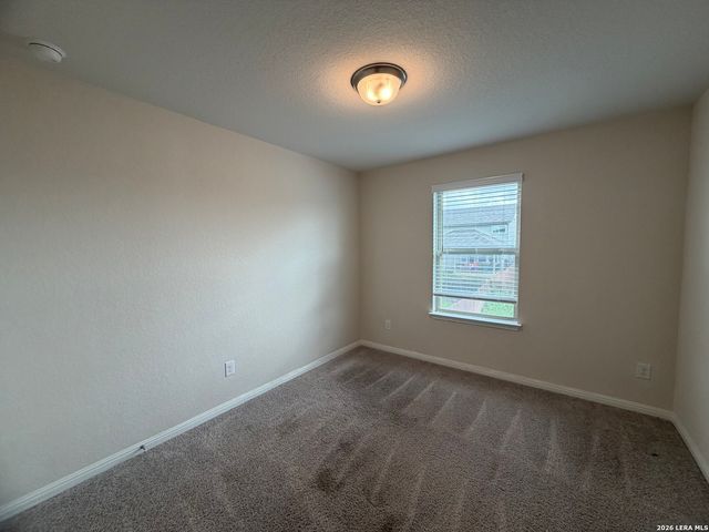 4804 NIGHT HERDER, St Hedwig, TX 78152