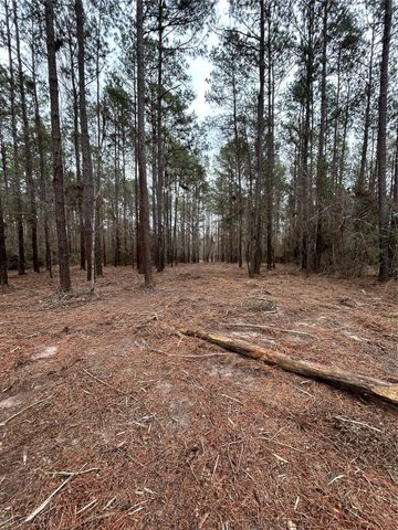 11885 Dawn Tree Lane, Willis, TX 77378