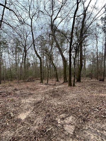 11885 Dawn Tree Lane, Willis, TX 77378