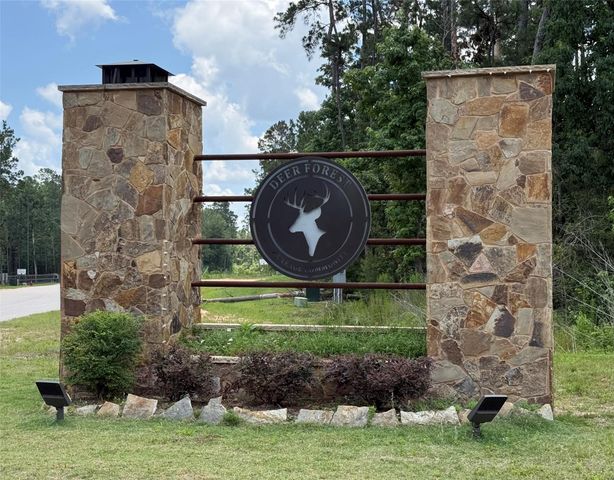11885 Dawn Tree Lane, Willis, TX 77378