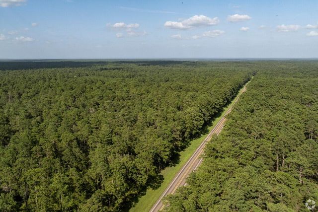 11885 Dawn Tree Lane, Willis, TX 77378