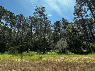 11885 Dawn Tree Lane, Willis, TX 77378