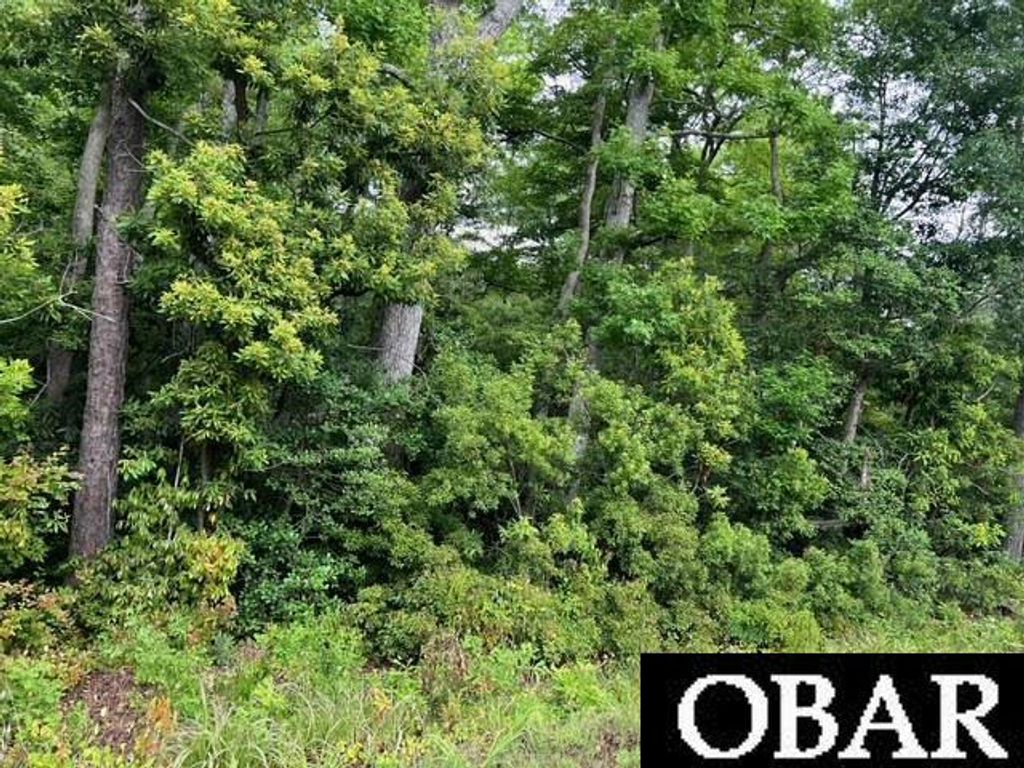 Image 10 of property listing at Colonial Beach Road Lot #25, Jarvisburg, NC 27947