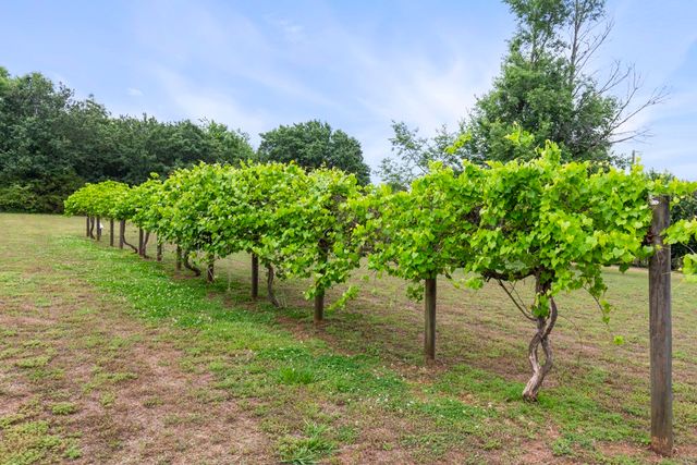 6209 Dobbins Bridge Rd Road, Anderson, SC 29626