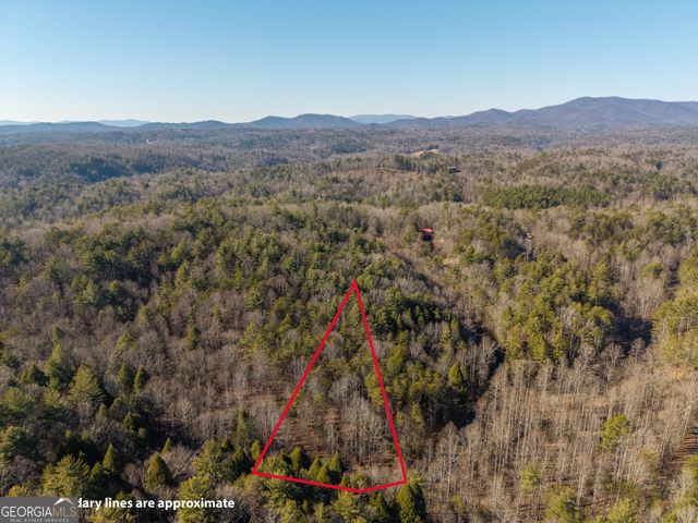 0 Satsuma South Court 694, Ellijay, GA 30540