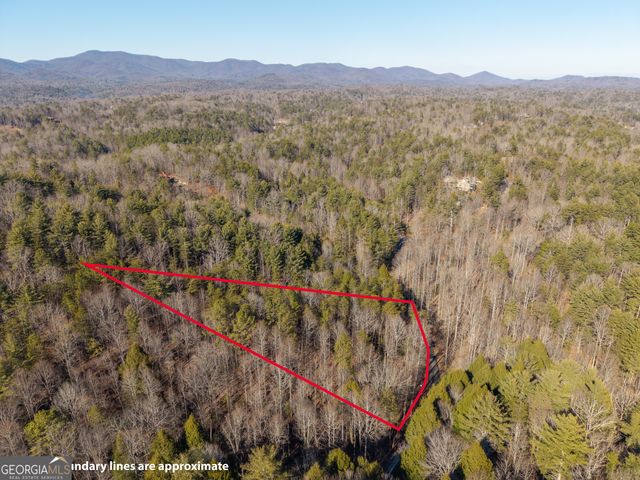 0 Satsuma South Court 694, Ellijay, GA 30540