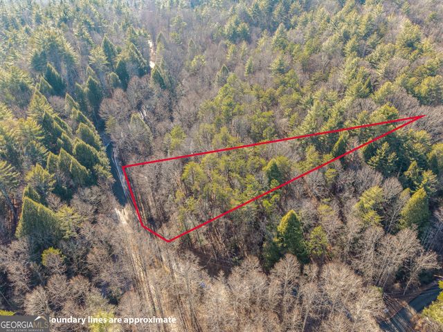 0 Satsuma South Court 694, Ellijay, GA 30540