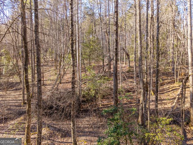 0 Satsuma South Court 694, Ellijay, GA 30540