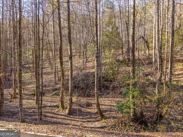 0 Satsuma South Court 694, Ellijay, GA 30540
