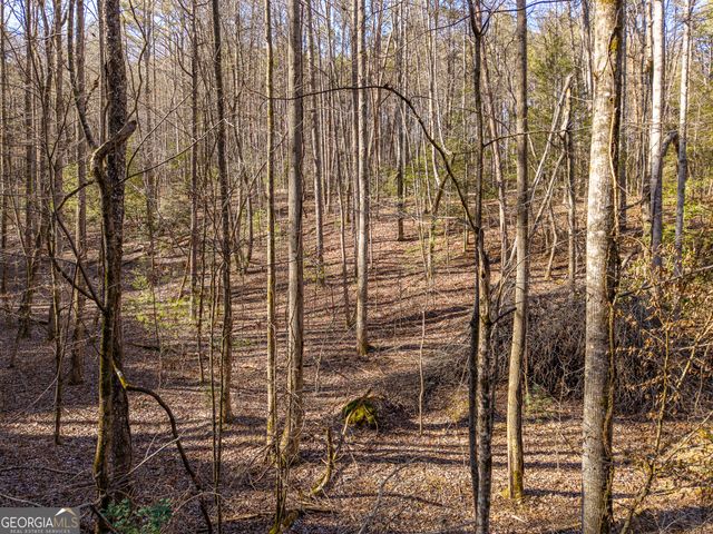 0 Satsuma South Court 694, Ellijay, GA 30540