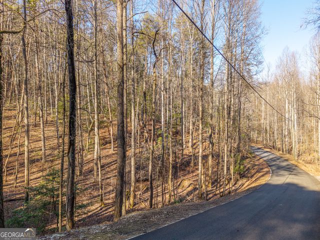 0 Satsuma South Court 694, Ellijay, GA 30540