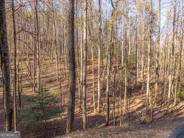 0 Satsuma South Court 694, Ellijay, GA 30540